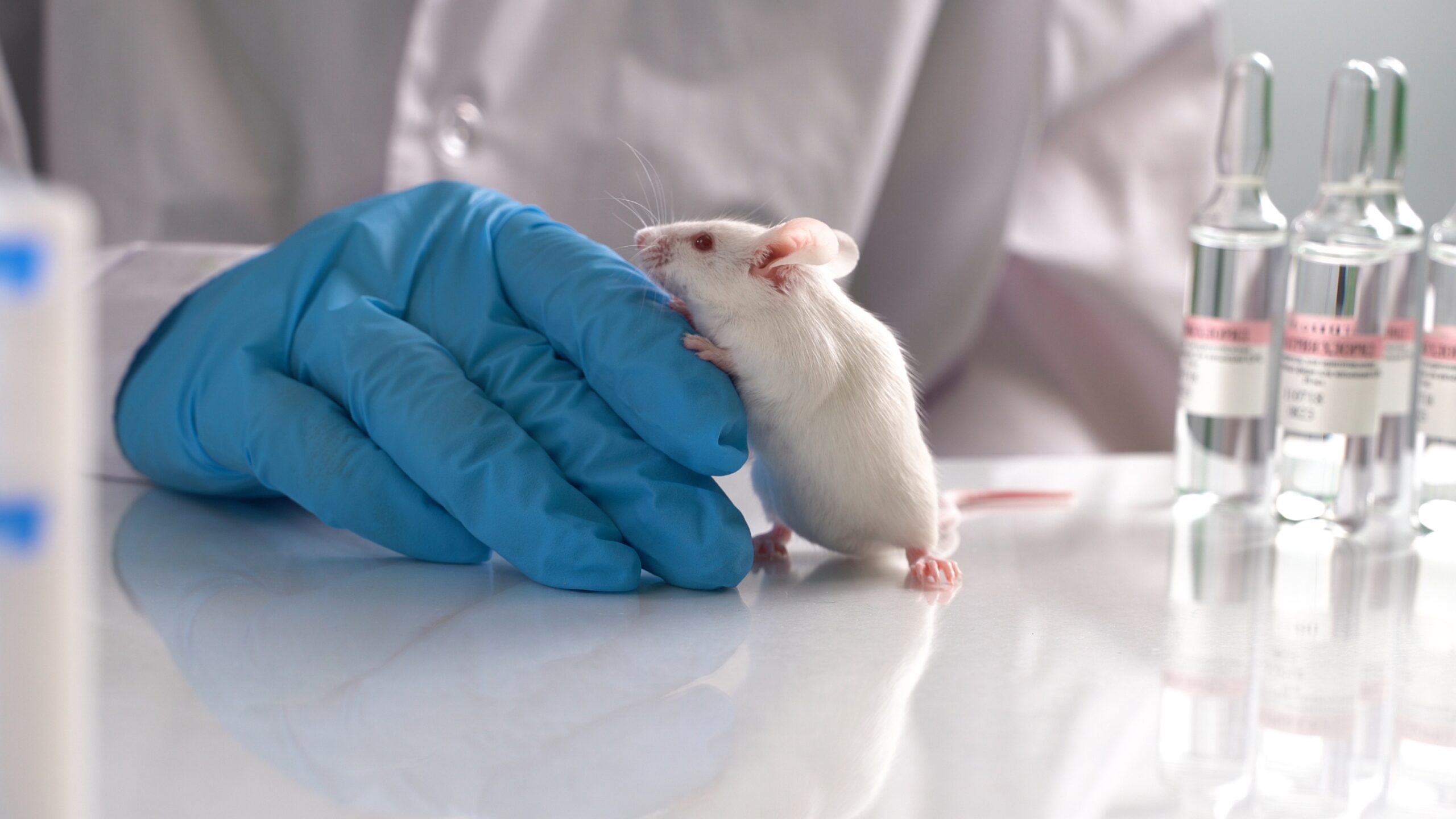Princípios no uso e manejo ético de animais em laboratório – EAD