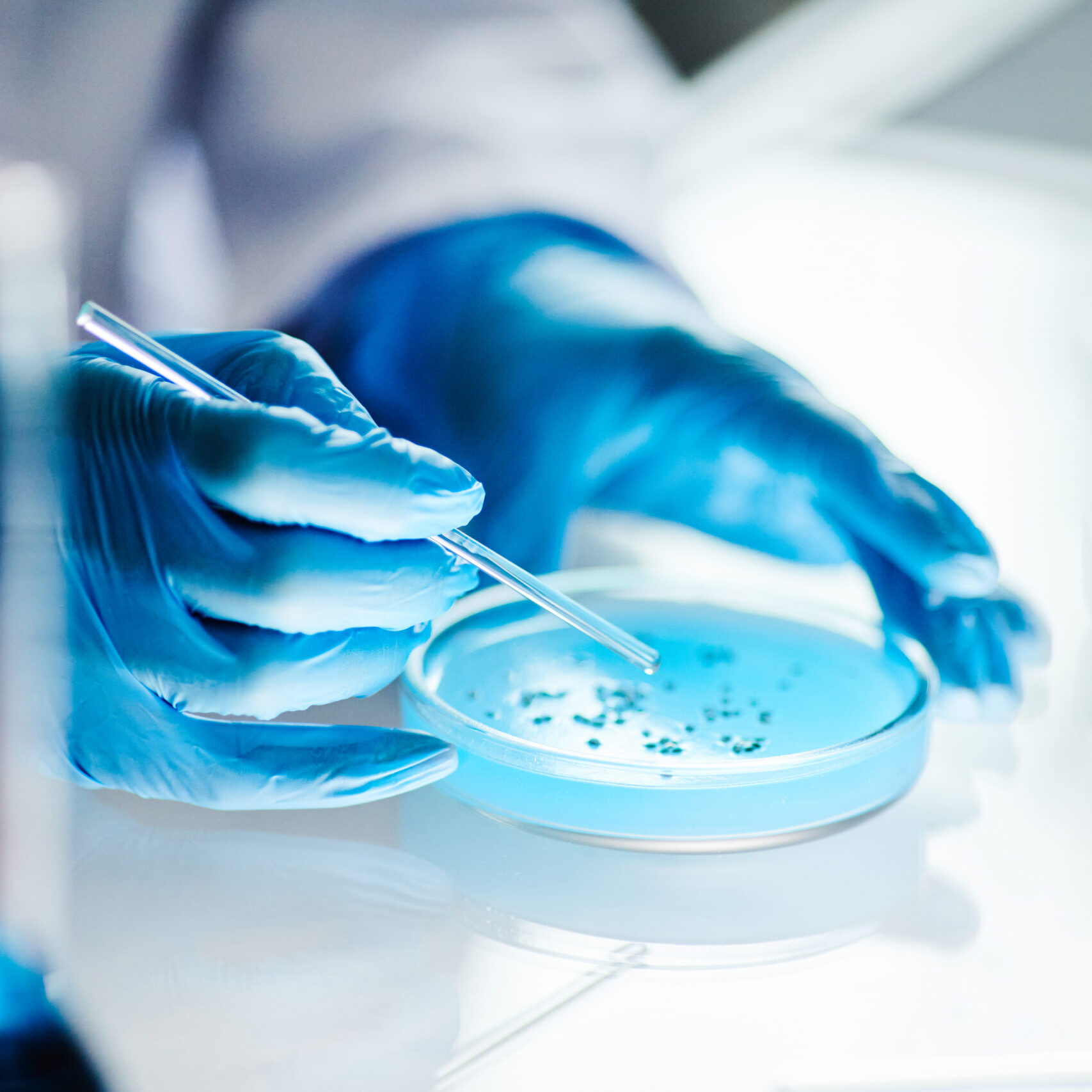 MICROBIOLOGIA CLÍNICA: TEÓRICO E PRÁTICO | PRESENCIAL