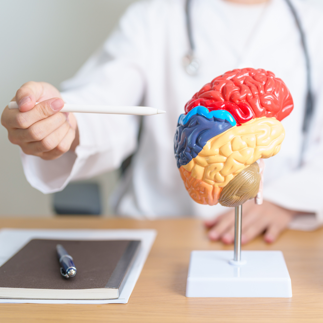 NEUROPSICOLOGIA E AVALIAÇÃO NEUROPSICOLÓGICA