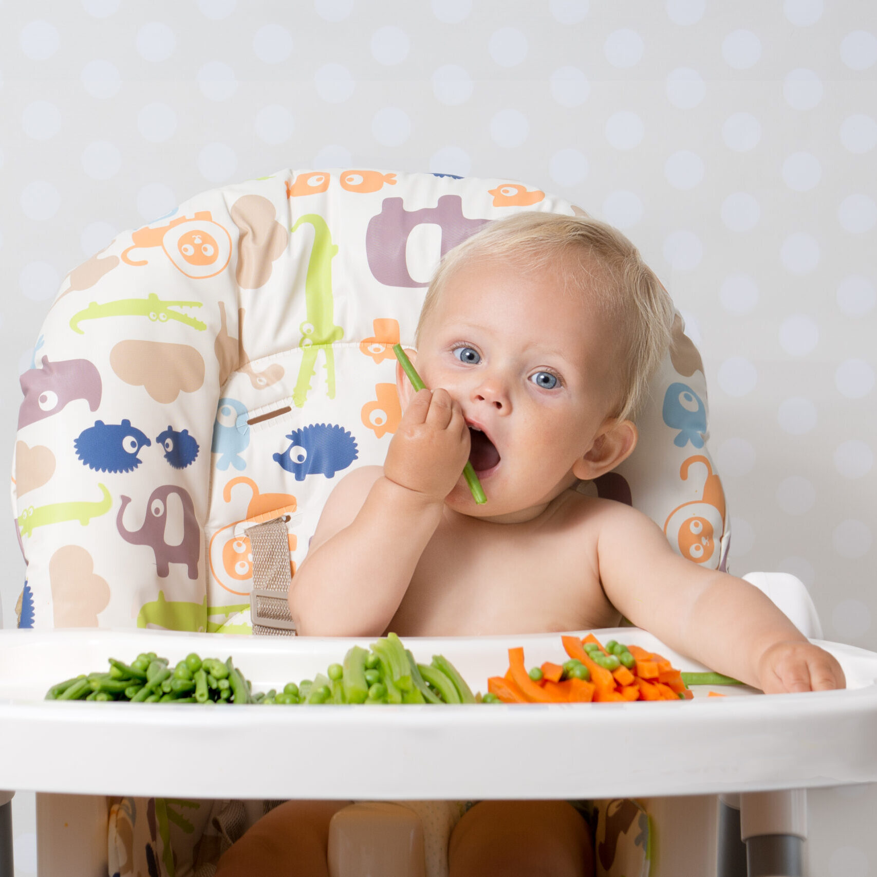 SELETIVIDADE ALIMENTAR: COMPREENSÃO E ESTRATÉGIAS NO CUIDADO ALIMENTAR E NUTRICIONAL